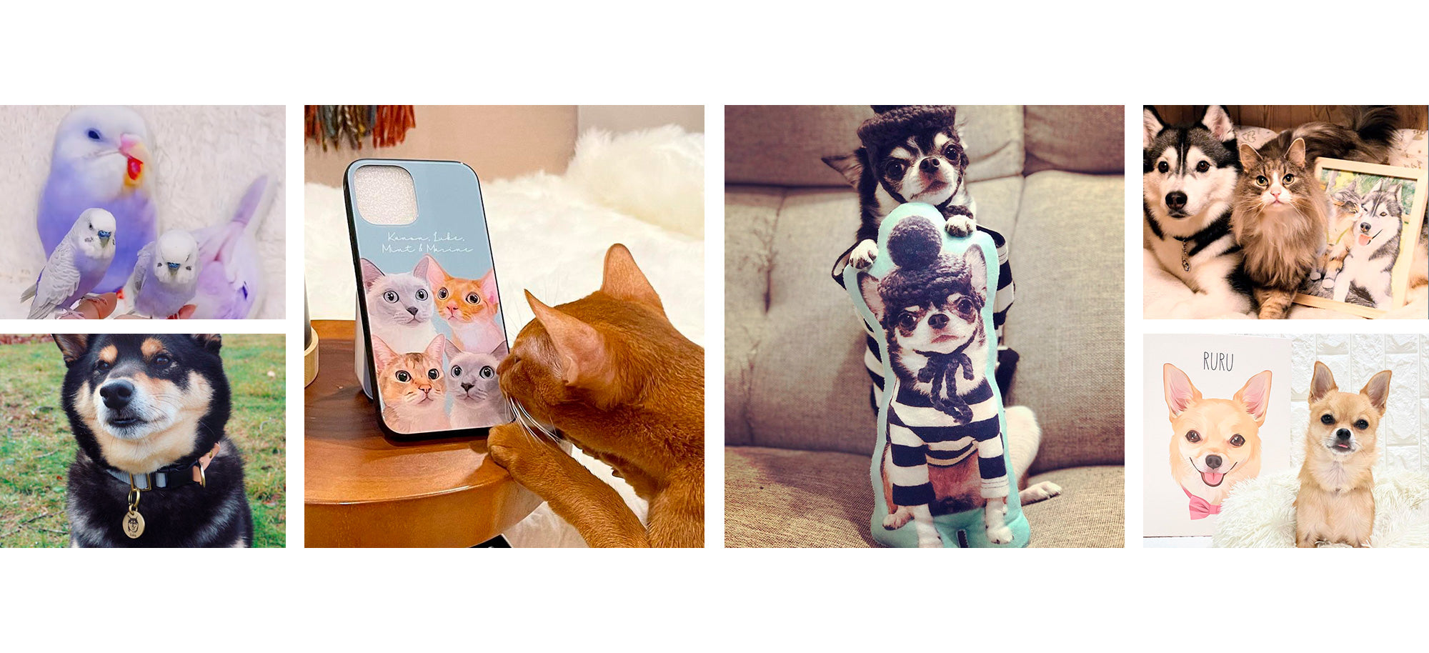 1割引きキャンペーン❗️】 犬 ペット 動物 イラスト オーダー専用