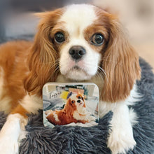 画像をギャラリービューアに読み込む, うちの子ブリキ缶(小物入れ、カンカン)| スタイルA、キャバリア | ペットのイラスト・写真グッズとのあわせ買いでお得にオーダーメイド。 | 世界で一つだけのオリジナルグッズ | 愛犬家・愛猫家へのギフトにも◎