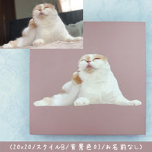 画像をギャラリービューアに読み込む, うちの子イラストキャンバスアート│全身手描きイラスト、スコティッシュフォールド│ペットの写真を送るだけで簡単オーダーメイド。オリジナル似顔絵入りキャンバスパネル│愛犬家・愛猫家へのギフトにも◎