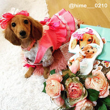 画像をギャラリービューアに読み込む, うちの子型コインケース│ミニチュアダックスのお顔、全身型│ペットの写真がオリジナルグッズに。│愛犬や愛猫の写真から、簡単オーダーメイド。犬好きや猫好きさんへのギフトにも◎