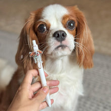 画像をギャラリービューアに読み込む, うちの子ボールペン | ペットのイラスト・写真グッズとのあわせ買いでお得にオーダーメイド。 | キャバリア