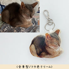 画像をギャラリービューアに読み込む, うちの子クッションキーホルダー制作事例│全身型・アビシニアン│ペットの写真を送るだけで作れるオリジナルグッズ│愛犬家や愛猫家へのギフトとしても♪