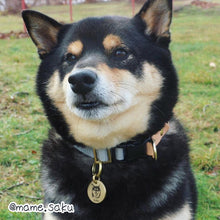 画像をギャラリービューアに読み込む, うちの子イラストネームタグ│オリジナルイラスト入りペットの迷子札│ゴールド(真鍮製)M、黒柴│写真を送るだけで簡単オーダーメイド。世界でひとつだけのオリジナルグッズ。│愛犬家や愛猫家へのギフトにも♪