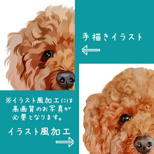 画像をギャラリービューアに読み込む, ペットのイラストスタイル┃手描きイラストとイラスト風加工の比較