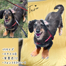 画像をギャラリービューアに読み込む, うちの子イラスト入りブランケット制作事例│ペットの写真から作成するオリジナルブランケット│ダックスフント、全身イラスト│愛犬家・愛猫家へのギフトに最適◎