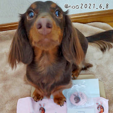画像をギャラリービューアに読み込む, うちの子イラスト缶バッジ│ダックスフンド│ペットの写真から作るオリジナルグッズ│ペットの缶バッジを簡単オーダーメイド♪│愛犬家・愛猫家へのギフトにも◎