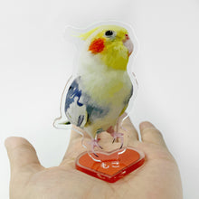 画像をギャラリービューアに読み込む, うちの子アクリルスタンド(あわせ買い専用)| オカメインコ| ペットのイラスト・写真グッズとのあわせ買いでお得にオーダーメイド。 | 愛犬家や愛猫家へのギフトにも◎