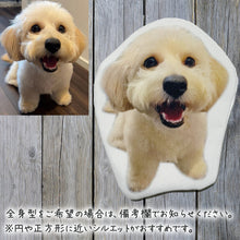 画像をギャラリービューアに読み込む, うちの子型コインケース│マルチーズ│ペットの写真がオリジナルグッズに。│愛犬や愛猫の写真から、簡単オーダーメイド。