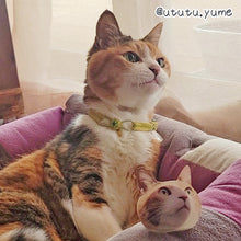 画像をギャラリービューアに読み込む, うちの子型スマホグリップ (MagSafe対応可)制作事例│三毛猫│ペットの写真を送るだけで作れるオリジナルグッズ│愛犬家や愛猫家へのギフトとしても◎