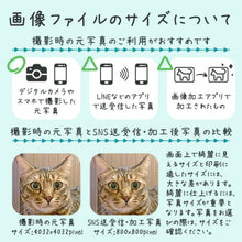 画像をギャラリービューアに読み込む, オーダーメイドのうちの子型クッション┃グッズに使用するペットの写真のサイズについて