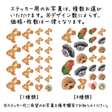 画像をギャラリービューアに読み込む, うちの子ステッカー | 種類数によらず同価格 | ペットのイラスト・写真グッズとのあわせ買いでお得にオーダーメイド。 | 世界で一つだけのペット型フレークシール | 愛犬家・愛猫家へのギフトにも◎