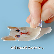 画像をギャラリービューアに読み込む, うちの子ステッカー | 防水加工で丈夫&長持ち。| ペットのイラスト・写真グッズとのあわせ買いでお得にオーダーメイド。 | 世界で一つだけのペット型フレークシール | 愛犬家・愛猫家へのギフトにも◎