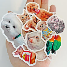 画像をギャラリービューアに読み込む, うちの子ステッカー | 犬猫、インコ、ハリネズミ、いろいろなペット型| ペットのイラスト・写真グッズとのあわせ買いでお得にオーダーメイド。 | 世界で一つだけのペット型フレークシール | 愛犬家・愛猫家へのギフトにも◎