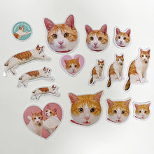 画像をギャラリービューアに読み込む, うちの子ステッカー | 茶白猫| ペットのイラスト・写真グッズとのあわせ買いでお得にオーダーメイド。 | 世界で一つだけのペット型フレークシール | 愛犬家・愛猫家へのギフトにも◎