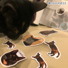 画像をギャラリービューアに読み込む, うちの子ステッカー(21枚入り)│サビ猫│ペットの写真から簡単オーダーメイド。オリジナルのフレーク(ダイカット)防水シール│愛犬家・愛猫家へのギフトにも◎
