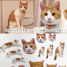 画像をギャラリービューアに読み込む, うちの子型ステッカー制作事例│猫│ペットの写真を送るだけで作れるオリジナルのフレークシール。│オーダーメイドの防水ダイカットステッカー