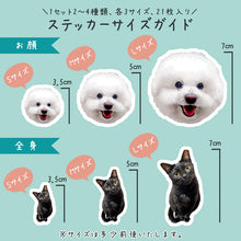 画像をギャラリービューアに読み込む, うちの子ステッカー(21枚入り)│3サイズ21枚入り。│ペットの写真を送るだけで作れるオリジナルのフレークシール。│オーダーメイドの防水ダイカットステッカー