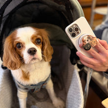画像をギャラリービューアに読み込む, うちの子型スマホグリップ (MagSafe対応可)制作事例│キャバリア、MagSafe対応スマホリング│ペットの写真を送るだけで作れるオリジナルグッズ│愛犬家や愛猫家へのギフトとしても◎
