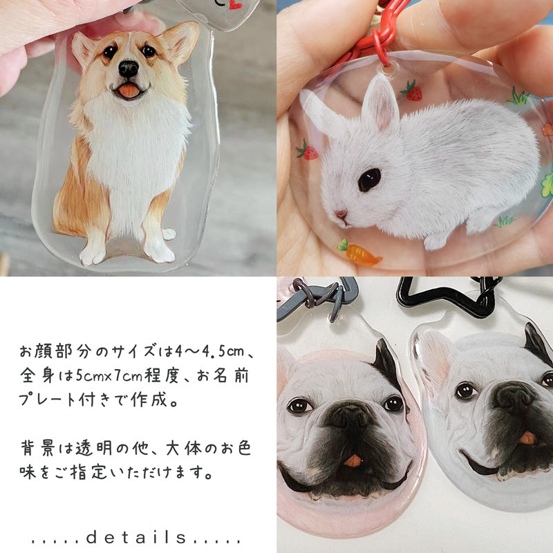ペットの色鉛筆イラストキーホルダー│うちの子の写真からオリジナル